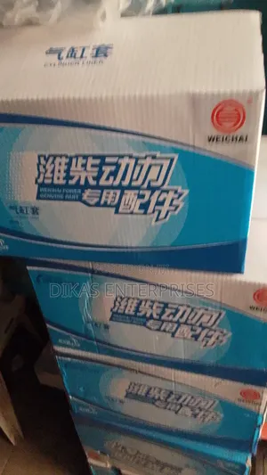 Engine Cylinder for Howo