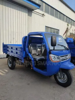 Tipper Cargo Tri Cycle