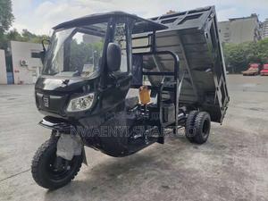 Tipper Cargo Tri Cycle 350cc Engine