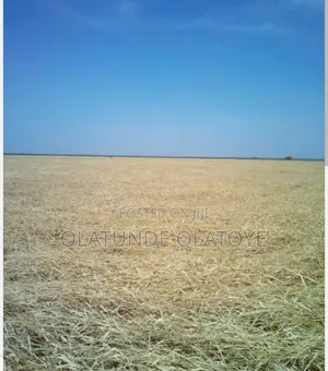 Smart Choice 4 Hectares of Land