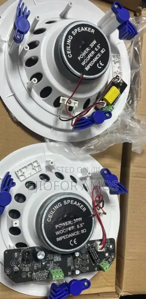 2in1 Celling Speaker 30w
