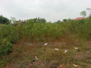 Landed Property
