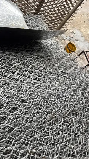 Galvanized Hexagonal Wire Mesh