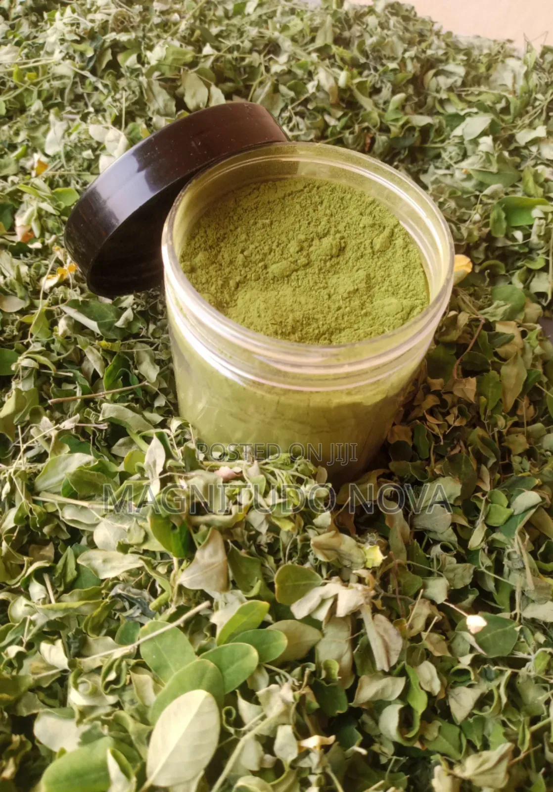 Moringa Leaves Powder