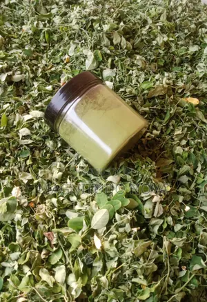 Moringa Leaves Powder