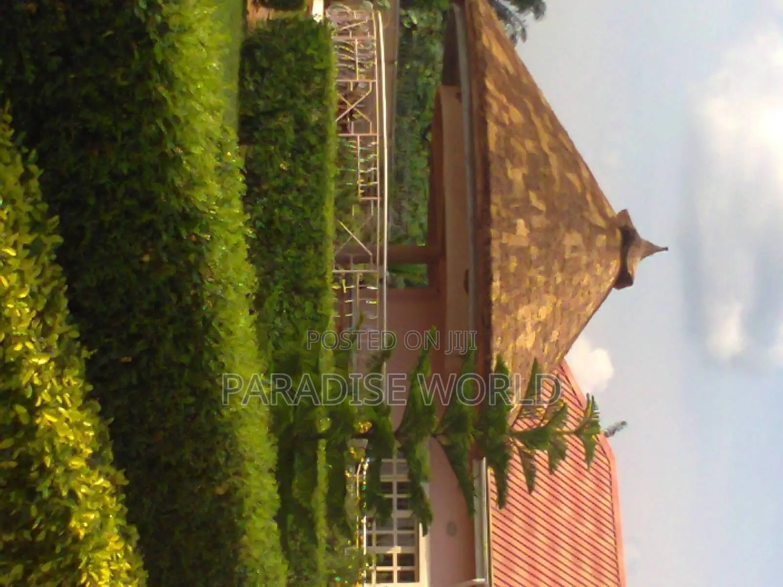 Thatch Construction / Bush Bar