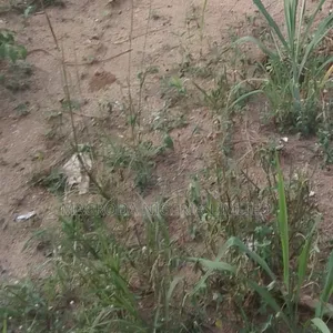 7 Plots of Land Available for Sale at Okun
