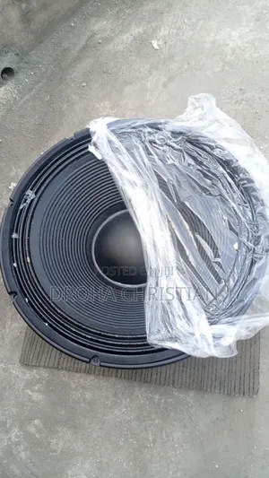 18" Professional Super Sub Double Magnet Speaker