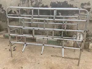 Strong and Durable Pig Farrowing Cage for Sale Protect Your Piglets