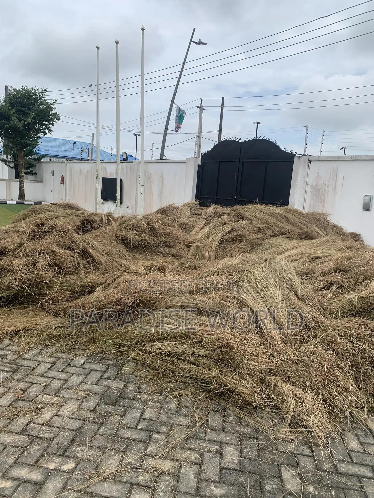 Thatch House