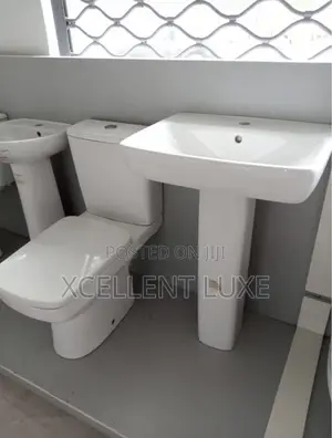 Geberit Water Closet With Standing Wash Hand Basin Rimless