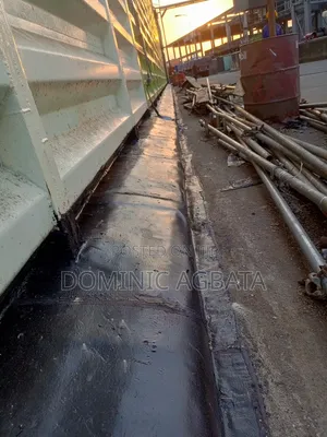 Dianoia Waterproofing Experts