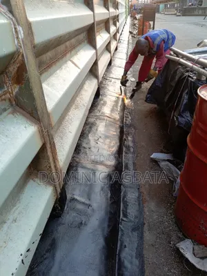 Dianoia Waterproofing Experts