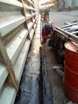 Dianoia Waterproofing Experts