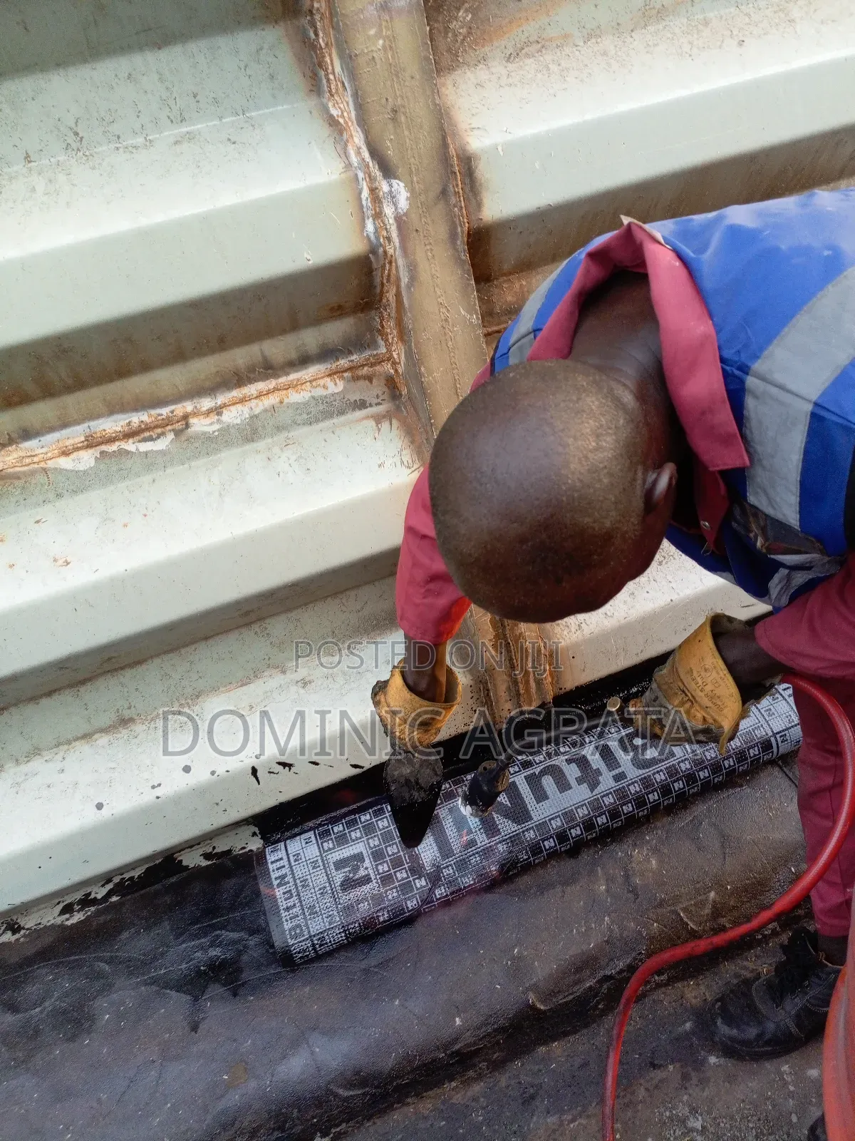 Dianoia Waterproofing Experts
