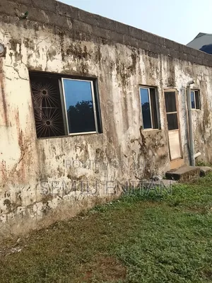 House Painting Supply of Top Notch Materials