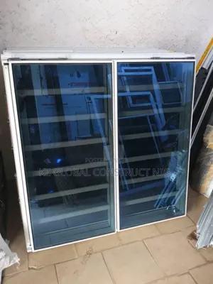 Frameless Window With Burglary and Net