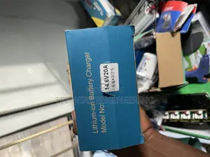Lithium Battery Charger
