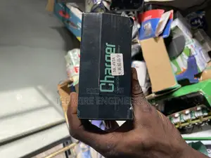 Lithium Battery Charger