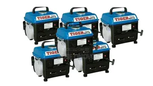 Tiger Small Generator