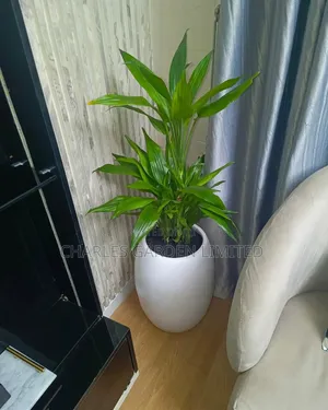 Flower Pot