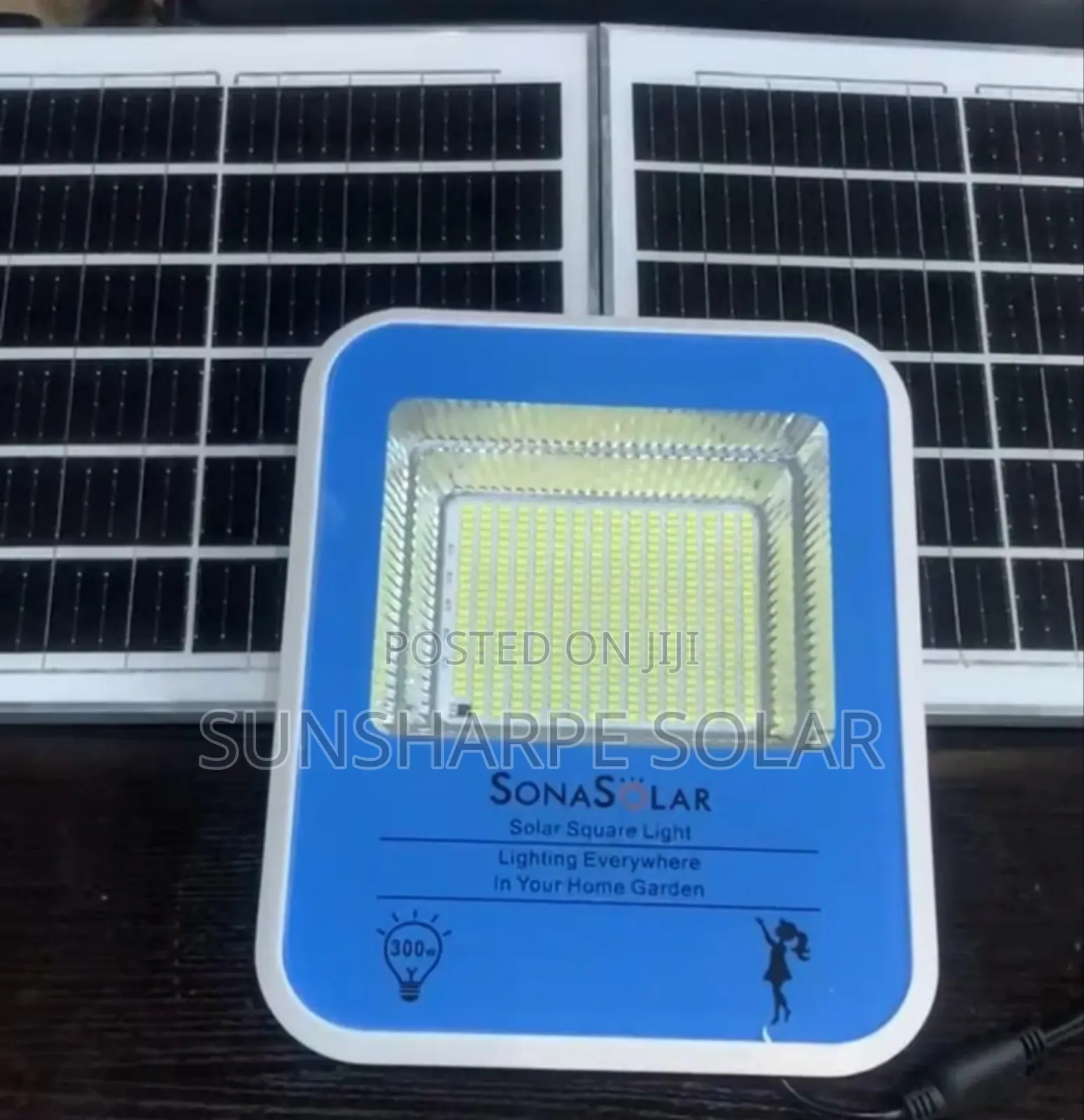 Sonasolar Floodlight Solar