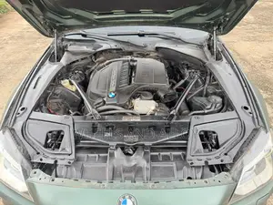BMW F-Series 2016 Green