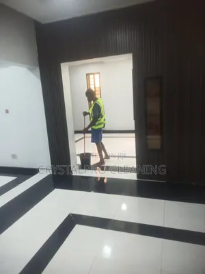 Home Deep Cleaning Pro