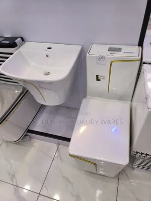 Executive Set White Wc With Gold Line With Hanging Basin