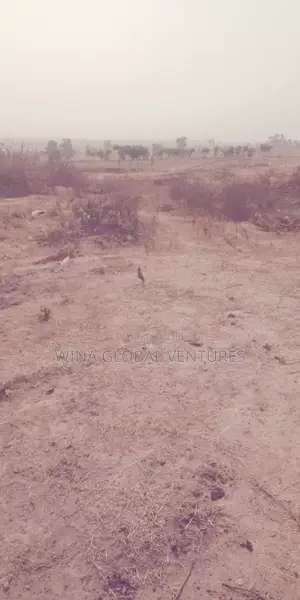 Approximately One Hectare of Land for Sale