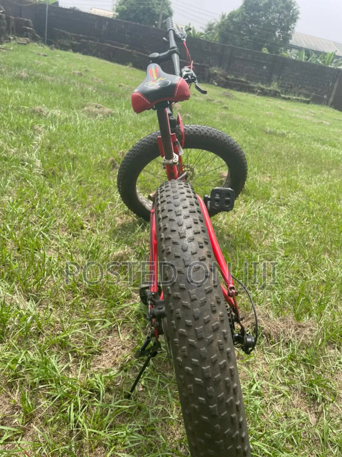 Adult Bike