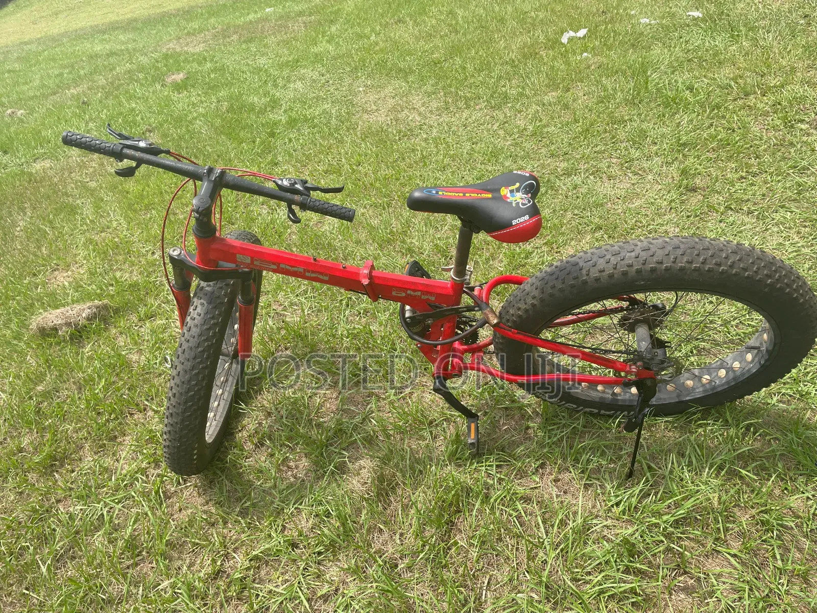 Adult Bike