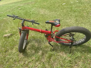 Adult Bike