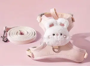 Adjustable Dog Harness and Leash Set With Cute Design
