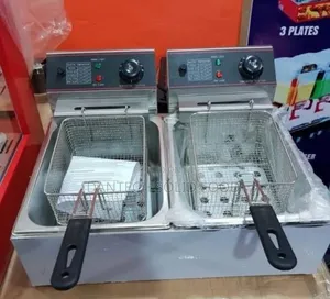 Electric Double Fryer