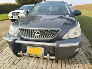 Lexus RX 350 2007 Gray