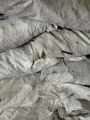 Nails Complete Full Bag (All Size)