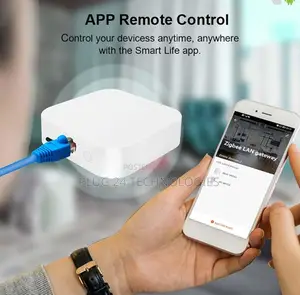 Wired Zigbee Tuya Gateway