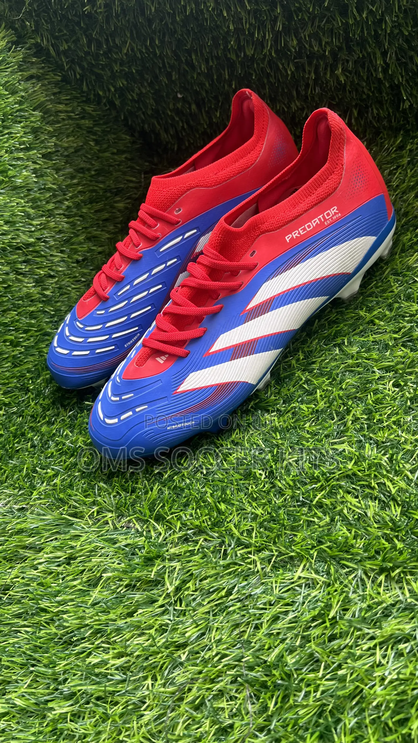 Adidas Predator Blue (41)