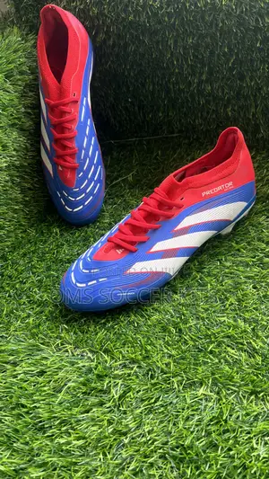 Adidas Predator Blue (41)