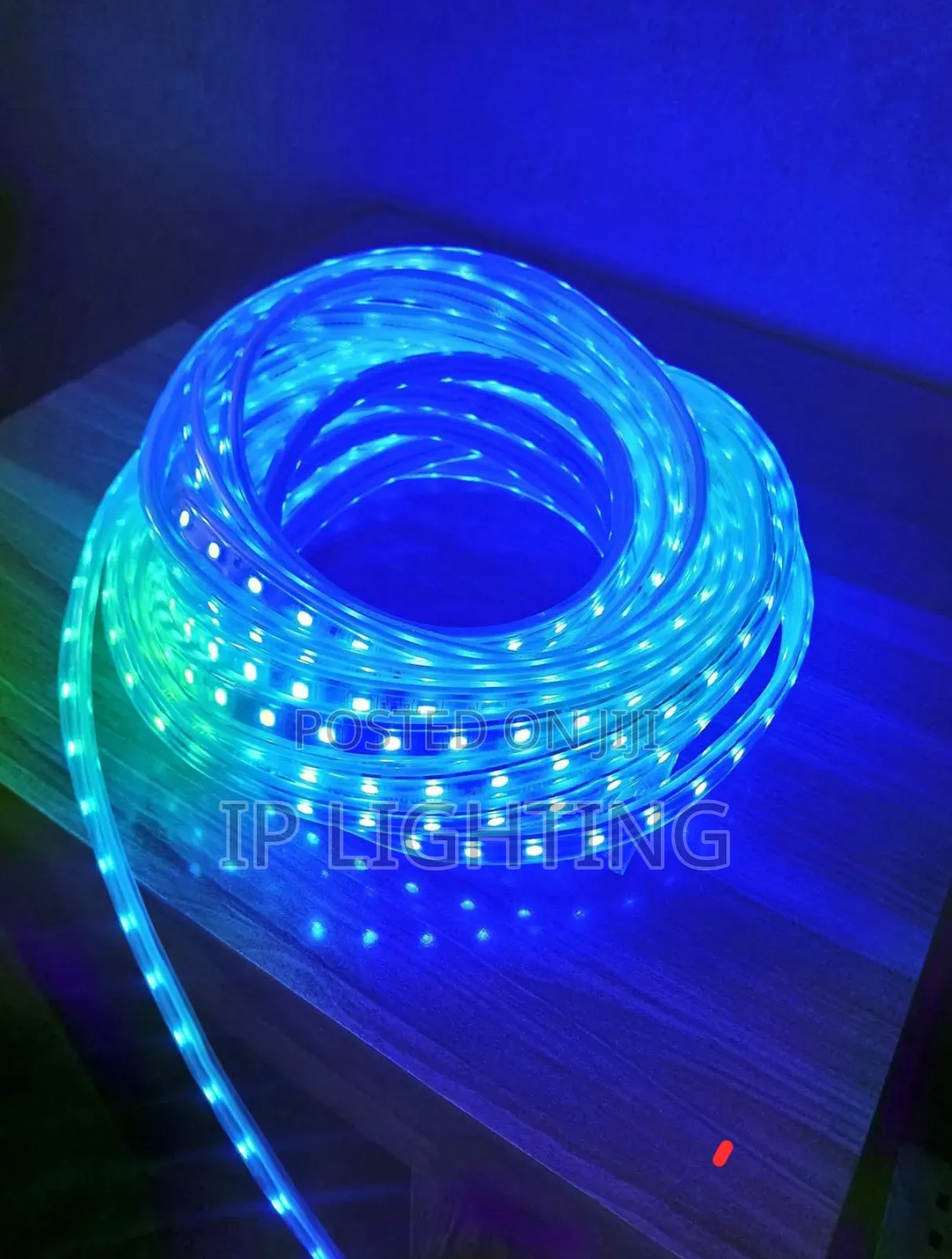 Rop Light 10meter
