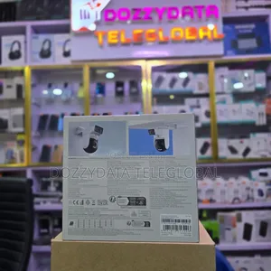 Outdoor Camera Cw500 Dual