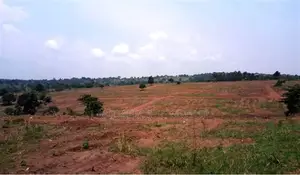Land for Sale in Keffi Smart City
