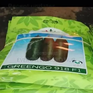 Greengo Cucumber Seeds -918 F1