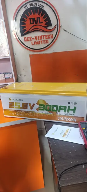 300amps 7.6kwh Ecolion Lithium Battery