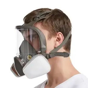 Chemical Protection Full Face Mask With Vapour Cartridge