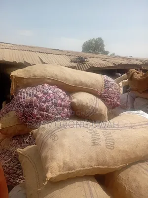 Onions Supplies in Bags and Sugar Bag.