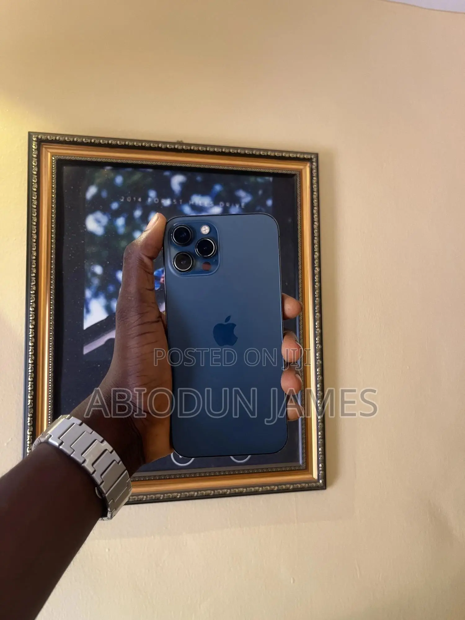 Apple iPhone 12 Pro Max 256 GB Blue