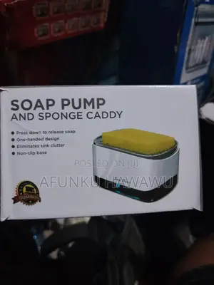 Soap Pump and Sponge