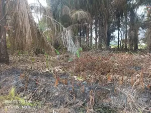 Genuine Dry Land in Alatishe